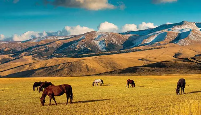 Top 5 Summer Getaways for Indians - No Visa Needed!